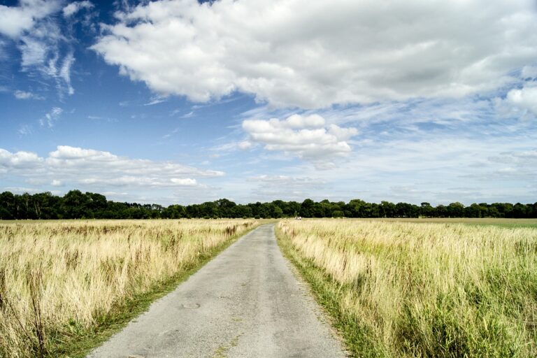 Exploring the Potential for Car Sharing in Rural Communities: Betbook250 login, Reddybook id, Playlotus365